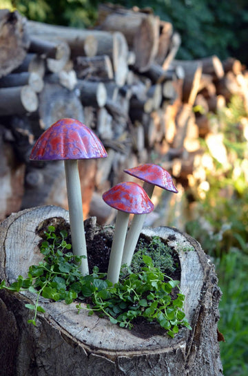 Shroomyz – Funtasmic Collection – Cherry Pop Rock - Image 2 of 6 | Garden Decor