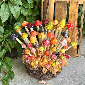 Shroomyz – Fall Pack