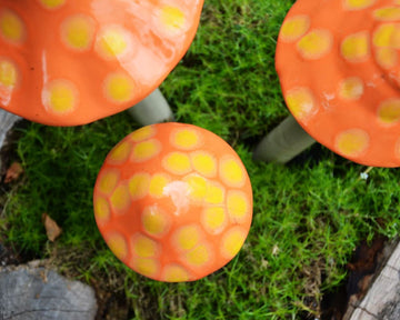Shroomyz – Funtasmic Collection – Fuzzy Peach - Image 2 of 8 | Garden Decor