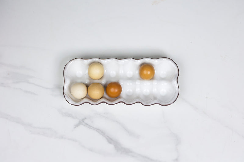 Food & Storage Containers