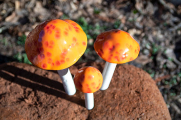 Shroomyz – Funtasmic Collection – Mango Madness - Image 2 of 5 | Garden Decor