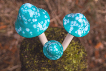 Shroomyz – Funtasmic Collection – Mint Burst - Image 2 of 7 | Garden Decor