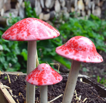 Shroomyz – Funtasmic Collection – Pink Cherry - Image 2 of 8 | Garden Decor