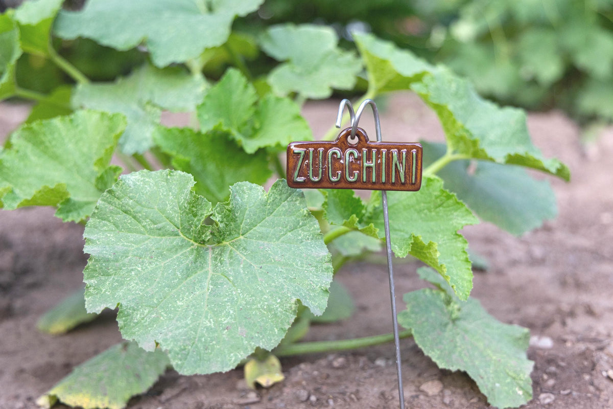 Garden Markers – Vegetables & Fruits - Image 11 of 11 | Garden Decor