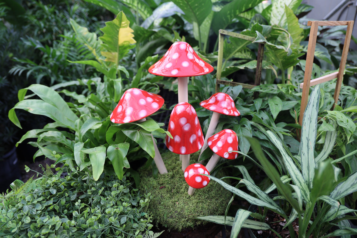Shroomyz – Funtasmic Collection – Red Polka Dot Variety Pack - Image 3 of 5 | Garden Decor