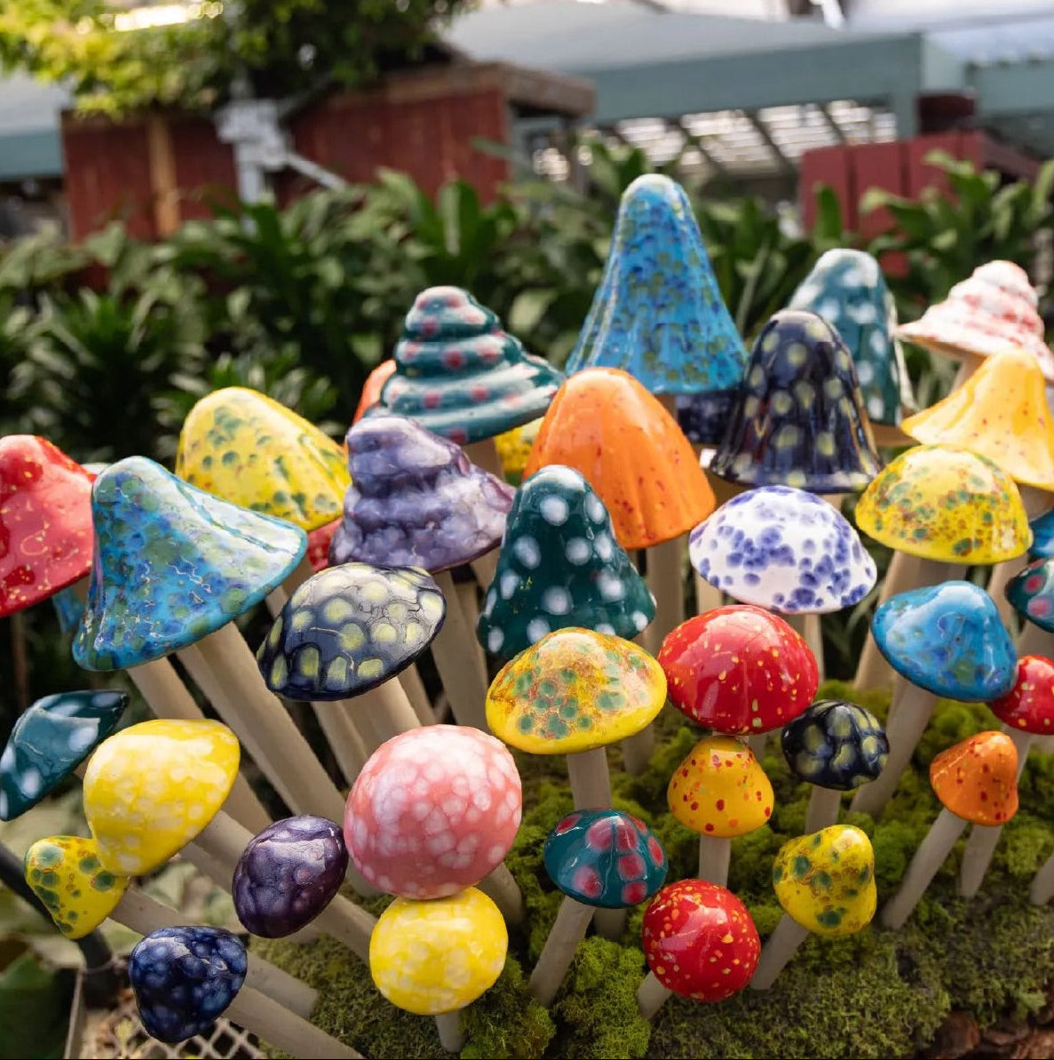Shroomyz – Crystal Collection – Variety Pack - Image 1 of 8 | Garden Decor