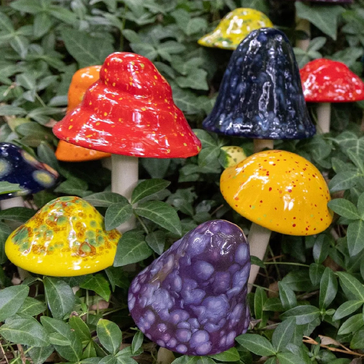 Shroomyz – Crystal Collection – Variety Pack - Image 7 of 8 | Garden Decor