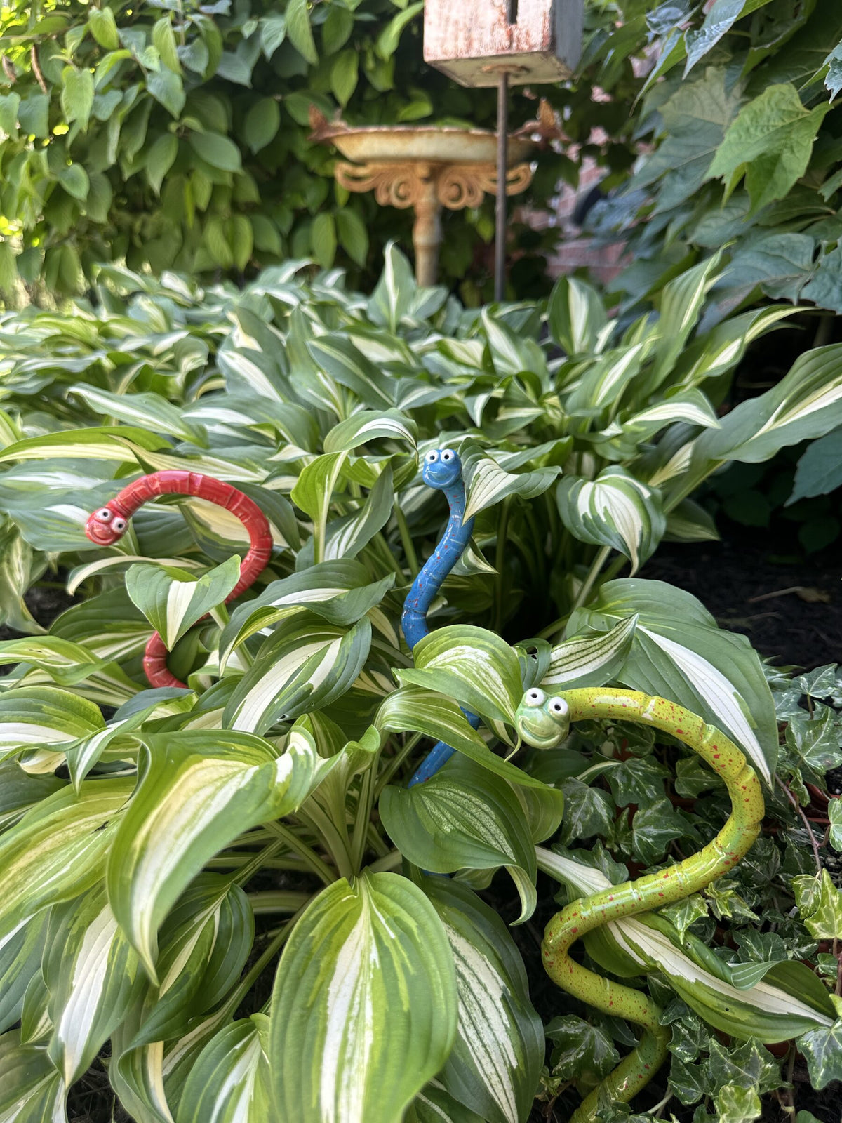 Yellow, blue, and red JJ Potts Studio ceramic Wormyz garden stakes winding through variegated hosta leaves