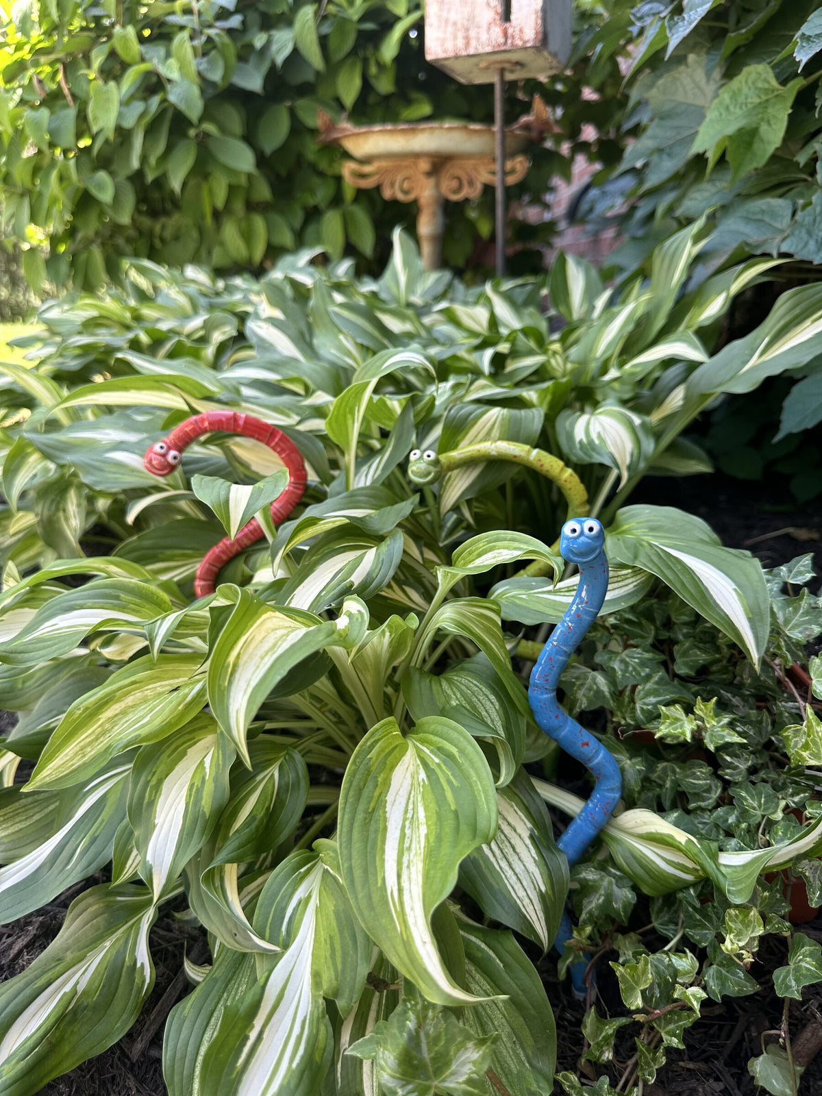 Three colorful handmade ceramic Wormyz garden stakes by JJ Potts Studio nestled in a hosta bed