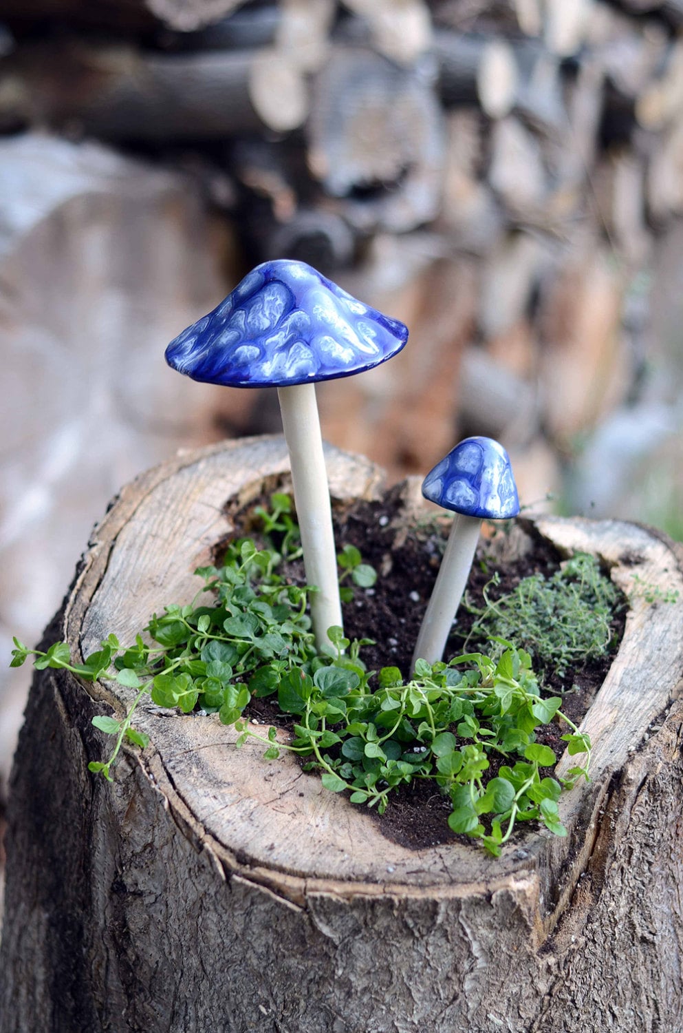 Shroomyz – Crystal Collection – Blueberry - Image 1 of 7 | Garden Decor