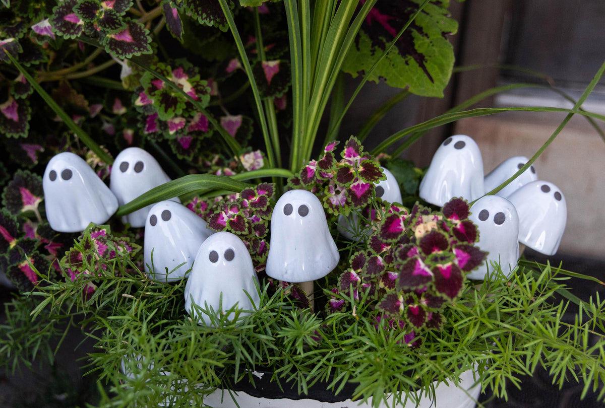 Ghostyz – Micro Pack - Image 7 of 11 | Garden Decor