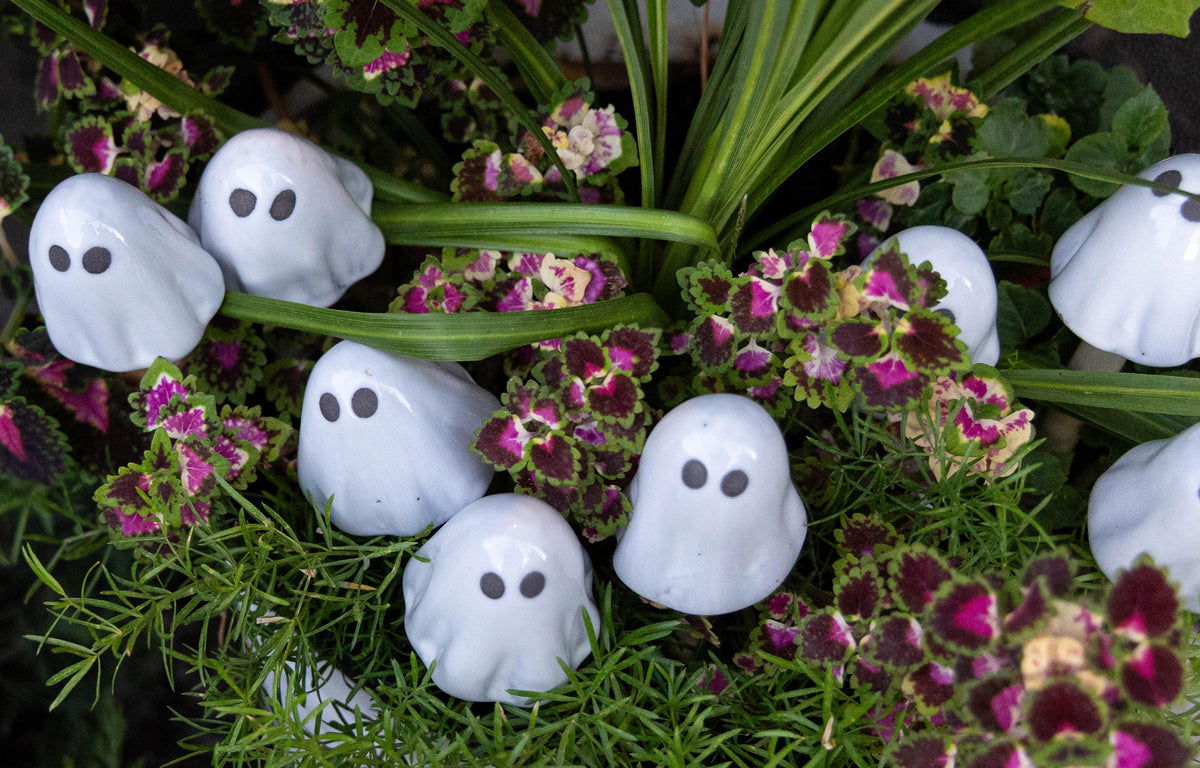 Ghostyz – Micro Pack - Image 8 of 11 | Garden Decor