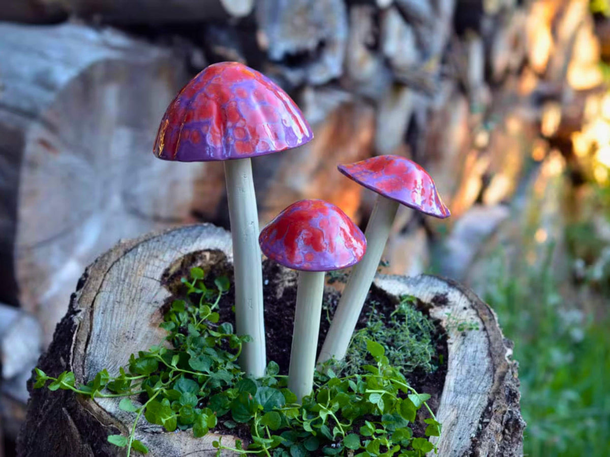 Shroomyz – Funtasmic Collection – Cherry Pop Rock - Image 1 of 6 | Garden Decor