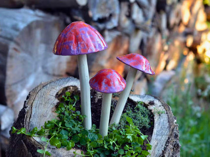 Shroomyz – Funtasmic Collection – Cherry Pop Rock - Image 1 of 6 | Garden Decor