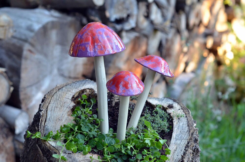 Shroomyz – Funtasmic Collection – Cherry Pop Rock - Image 3 of 6 | Garden Decor