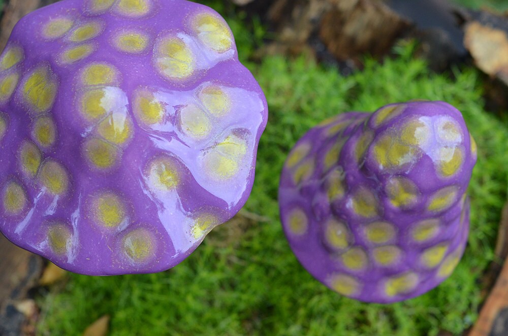 Shroomyz – Funtasmic Collection – Dinosaur Egg - Image 2 of 6 | Garden Decor