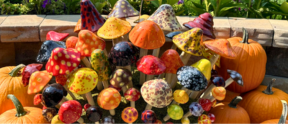 Shroomyz – Fall Pack - Image 2 of 2 | Garden Decor