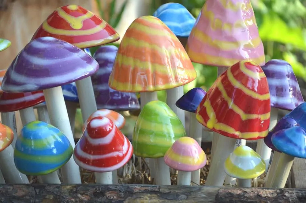 Shroomyz – Fantasy Collection – Variety Pack - Image 3 of 5 | Garden Decor