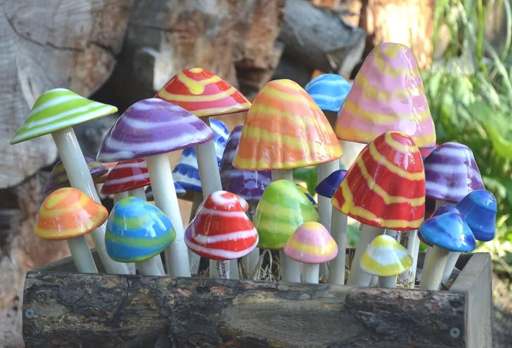 Shroomyz – Fantasy Collection – Variety Pack - Image 1 of 5 | Garden Decor
