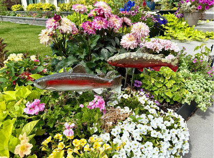 Garden Fish – Trout - Image 1 of 4 | Garden Decor