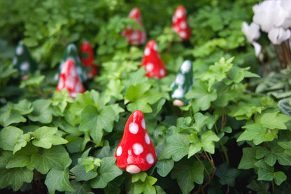 Gnomyz – Christmas Pack - Image 10 of 10 | Garden Decor