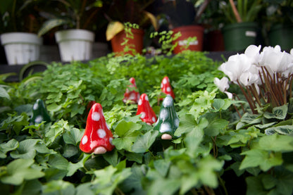 Gnomyz – Christmas Pack - Image 7 of 10 | Garden Decor