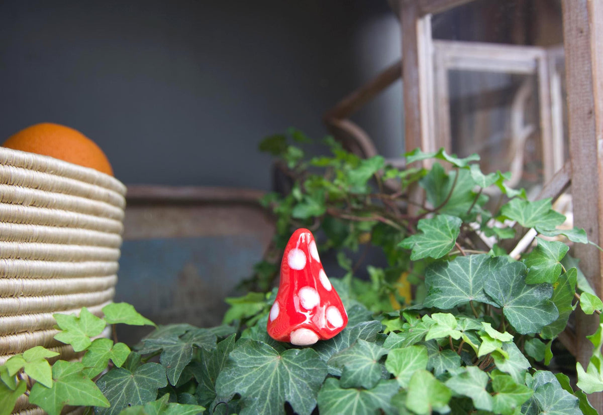 Gnomyz – Christmas Pack - Image 6 of 10 | Garden Decor