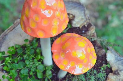 Shroomyz – Funtasmic Collection – Fuzzy Peach - Image 4 of 8 | Garden Decor