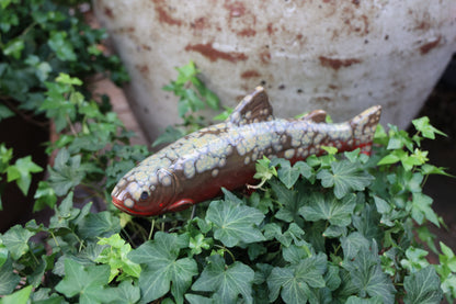 Garden Fish – Trout - Brook Trout | Garden Decor