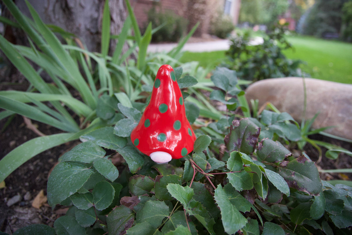 Gnomyz – Christmas Pack - Image 2 of 10 | Garden Decor