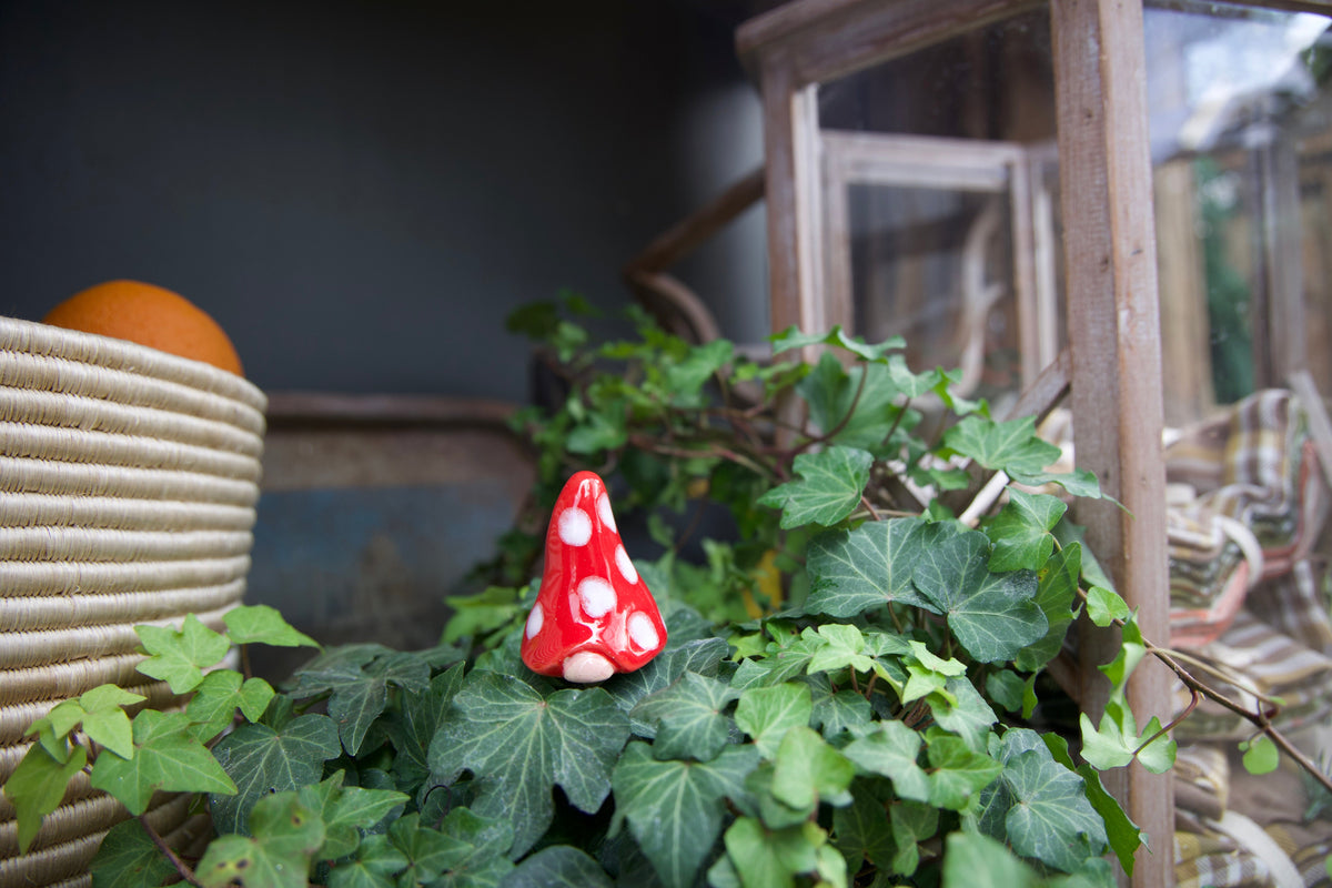 Gnomyz – Christmas Pack - Image 4 of 10 | Garden Decor