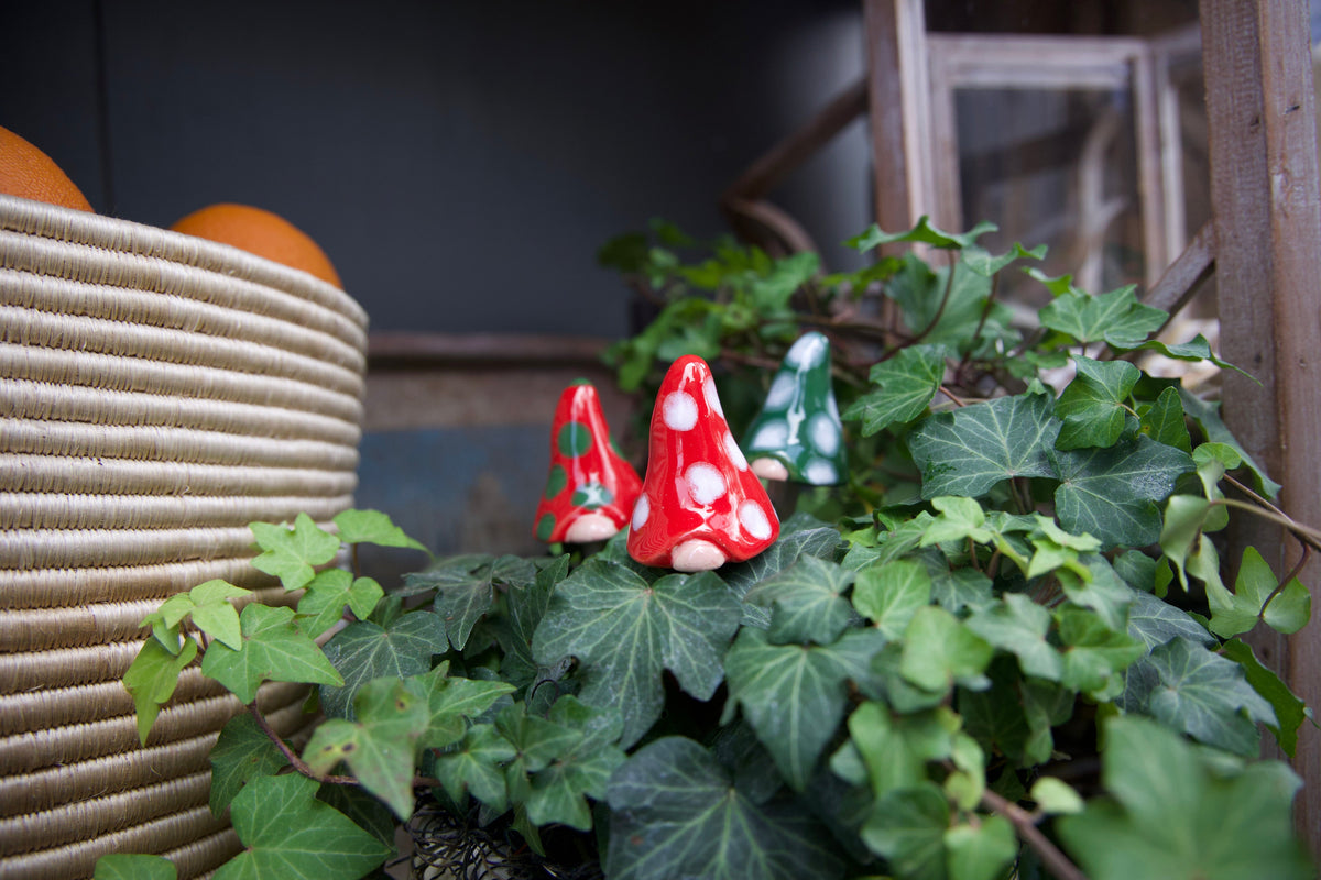 Gnomyz – Christmas Pack - Image 5 of 10 | Garden Decor