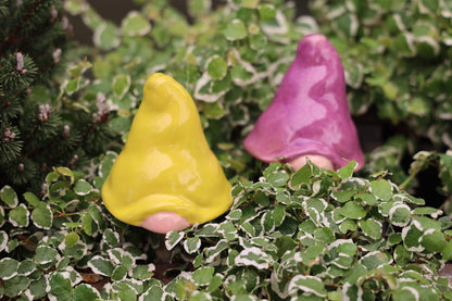 Gnomyz – Classic Colors Pack - Image 5 of 5 | Garden Decor