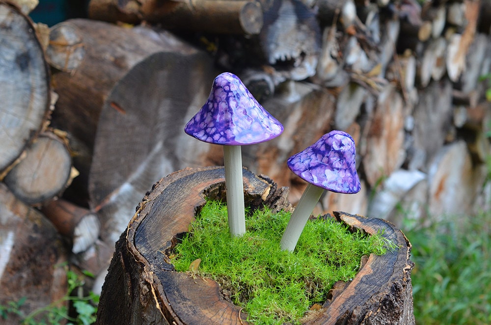 Shroomyz – Funtasmic Collection – Grape Goodness - Image 5 of 9 | Garden Decor