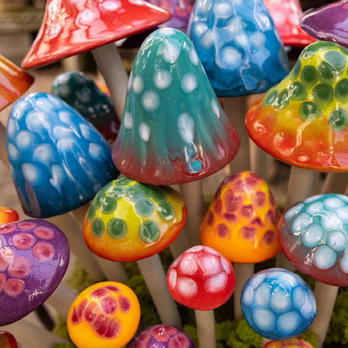 Shroomyz – Gumdrop Collection – Variety Pack - Image 3 of 7 | Garden Decor