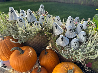 Ghostyz – Pick by Size (Single) - Image 5 of 6 | Garden Decor