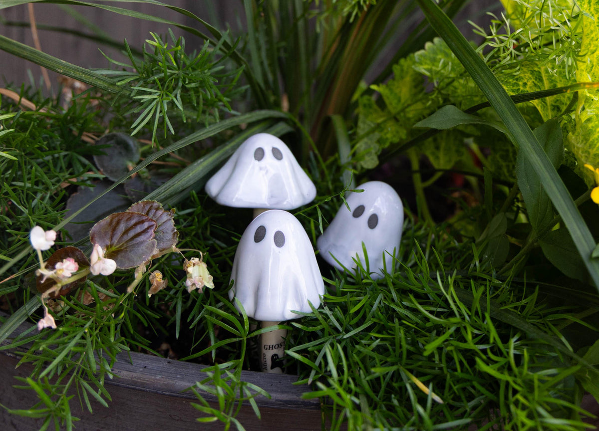 Ghostyz – Pick by Size (Single) - Image 2 of 6 | Garden Decor