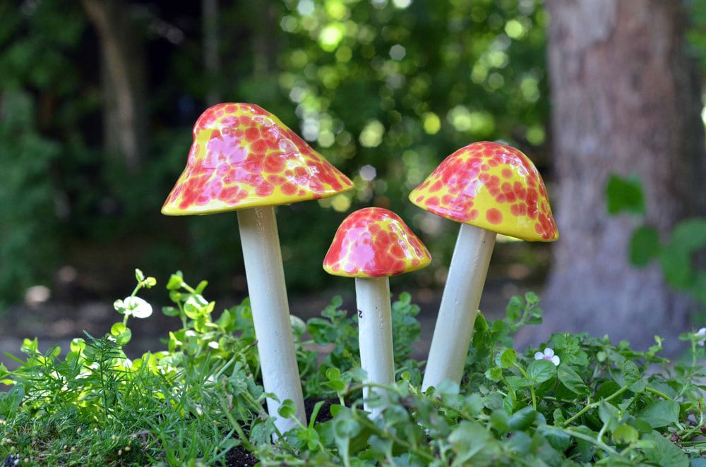 Shroomyz – Funtasmic Collection – Cherry Bomb - Image 1 of 7 | Garden Decor