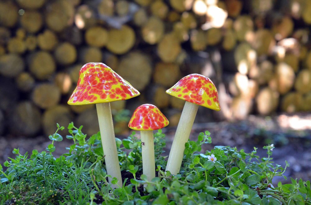Shroomyz – Funtasmic Collection – Cherry Bomb - Image 5 of 7 | Garden Decor