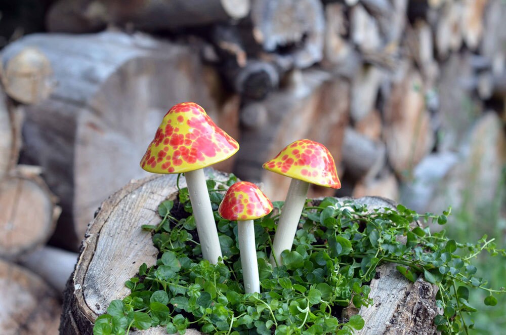 Shroomyz – Funtasmic Collection – Cherry Bomb - Image 6 of 7 | Garden Decor