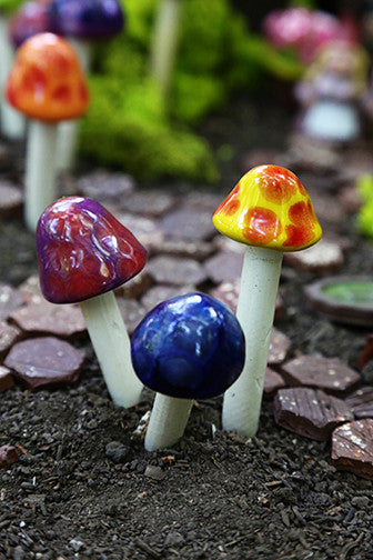 Fairy Shroomyz