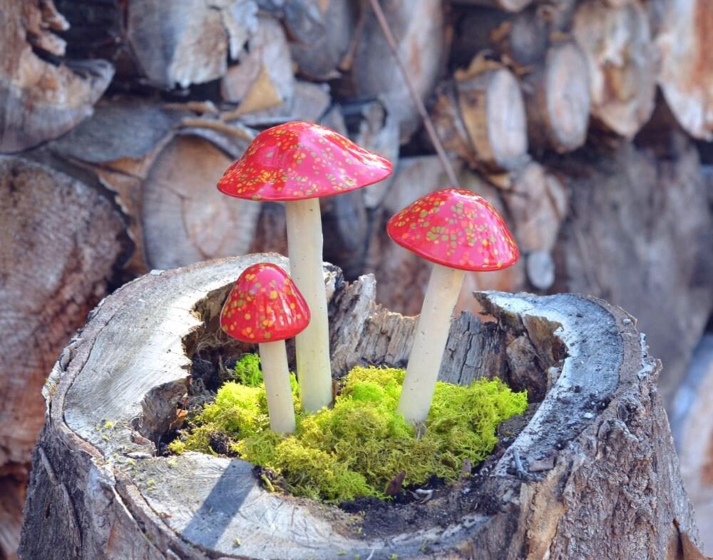 Shroomyz – Crystal Collection – Firecracker - Image 5 of 7 | Garden Decor
