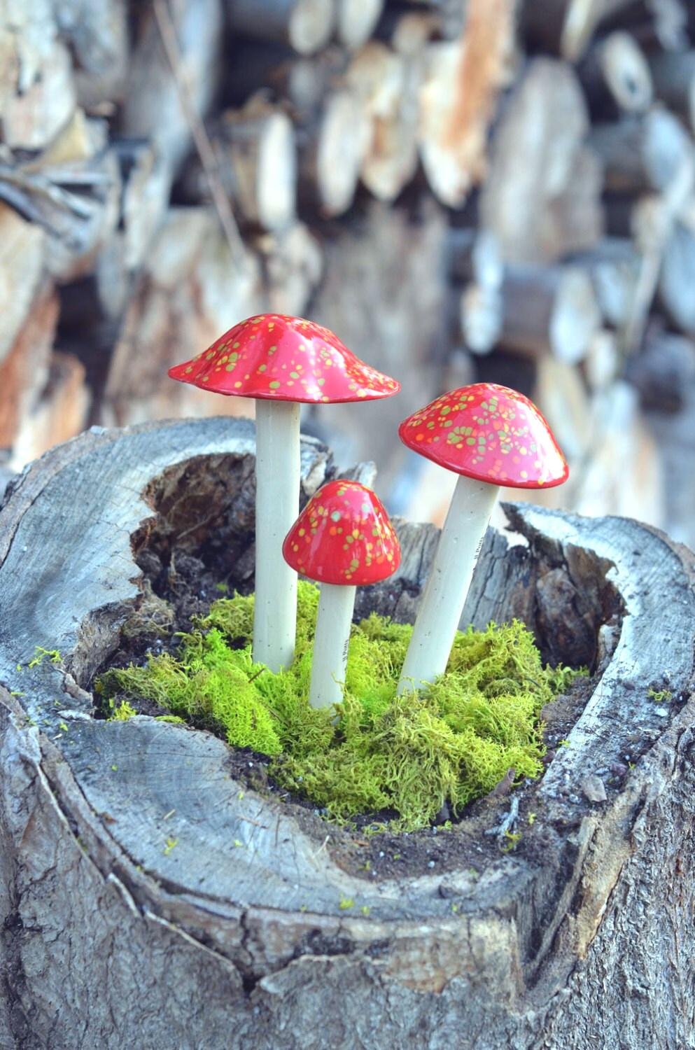 Shroomyz – Crystal Collection – Firecracker - Image 6 of 7 | Garden Decor