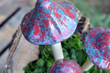 Peppermint Shroomyz