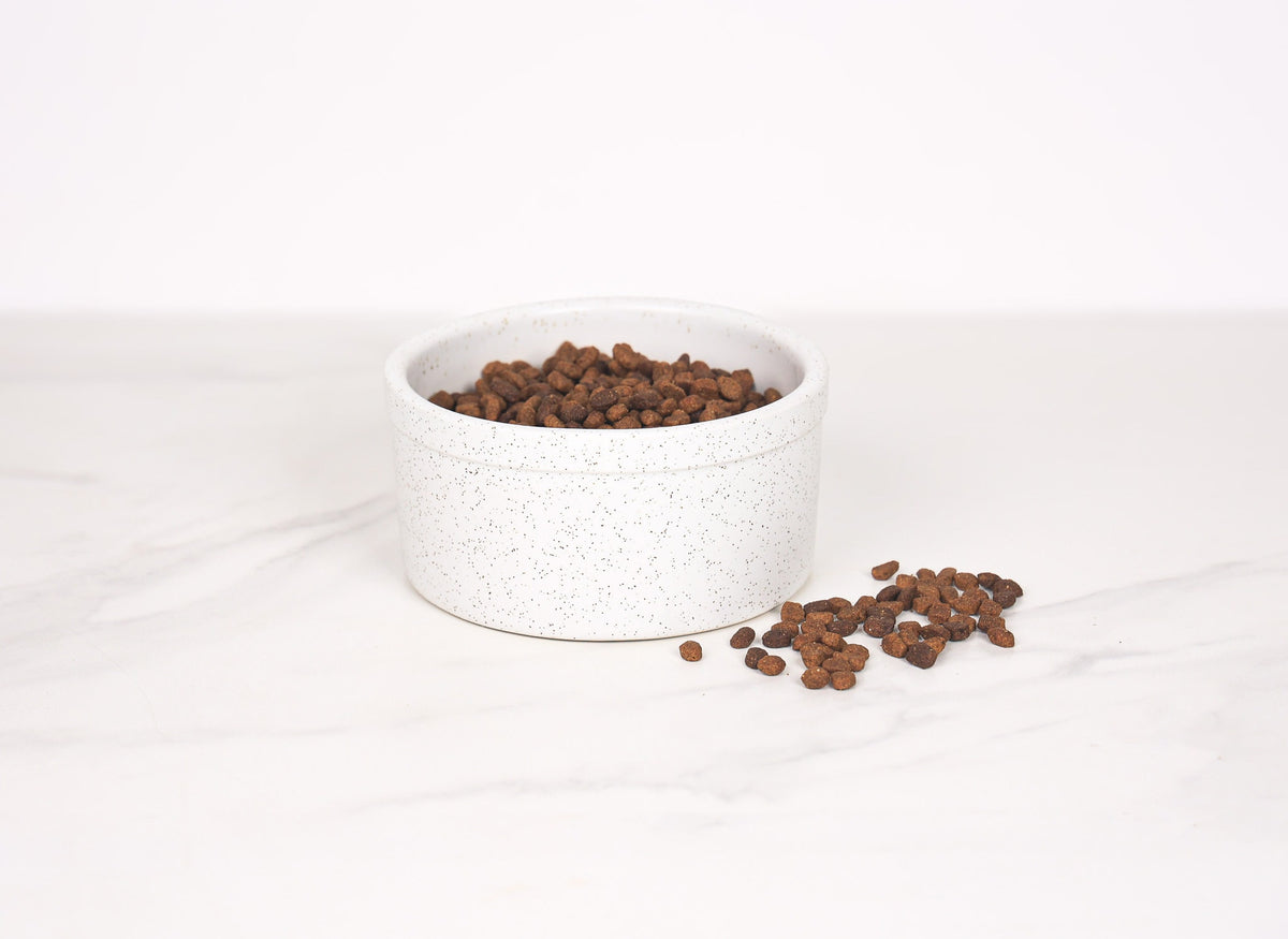 Pet Bowl (Pick by Pack) - Single Bowl | Pet Bowls
