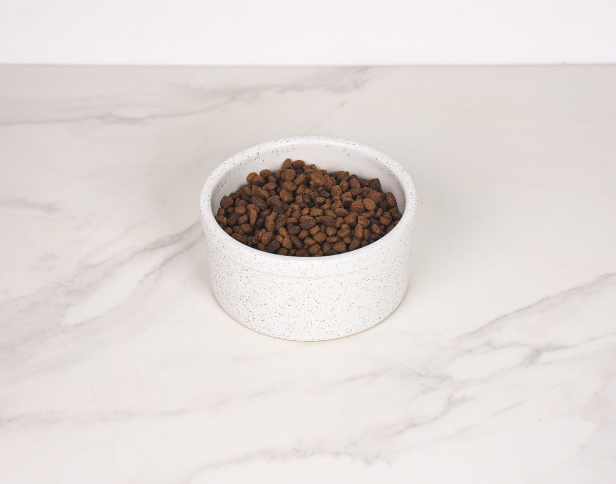 Pet Bowl (Pick by Pack) - Image 4 of 8 | Pet Bowls