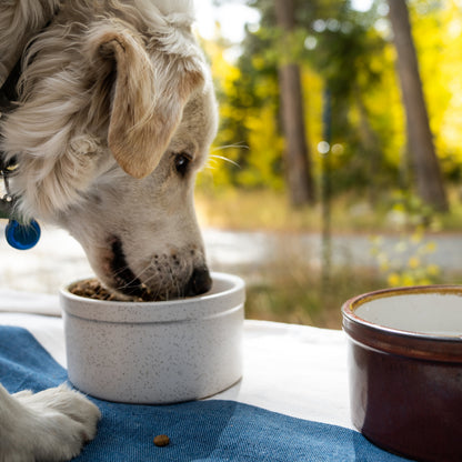 Pet Bowl (Pick by Pack) - Image 3 of 8 | Pet Bowls