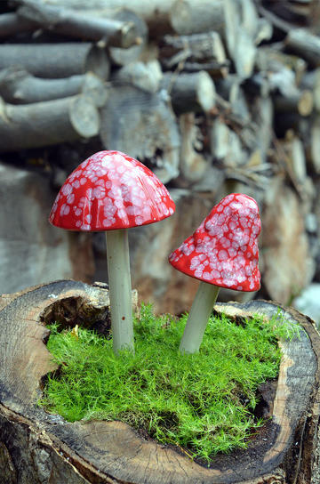 Shroomyz – Funtasmic Collection – Red Planet - Image 2 of 5 | Garden Decor
