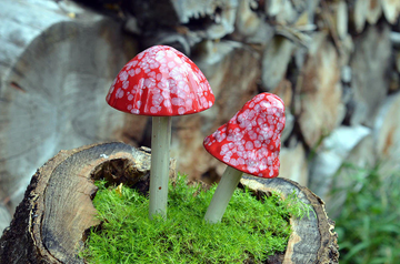 Shroomyz – Funtasmic Collection – Red Planet - Image 1 of 5 | Garden Decor
