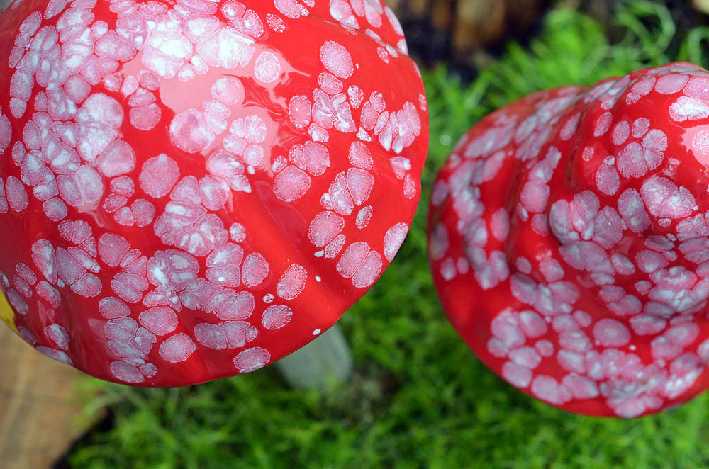 Shroomyz – Funtasmic Collection – Red Planet - Image 3 of 5 | Garden Decor